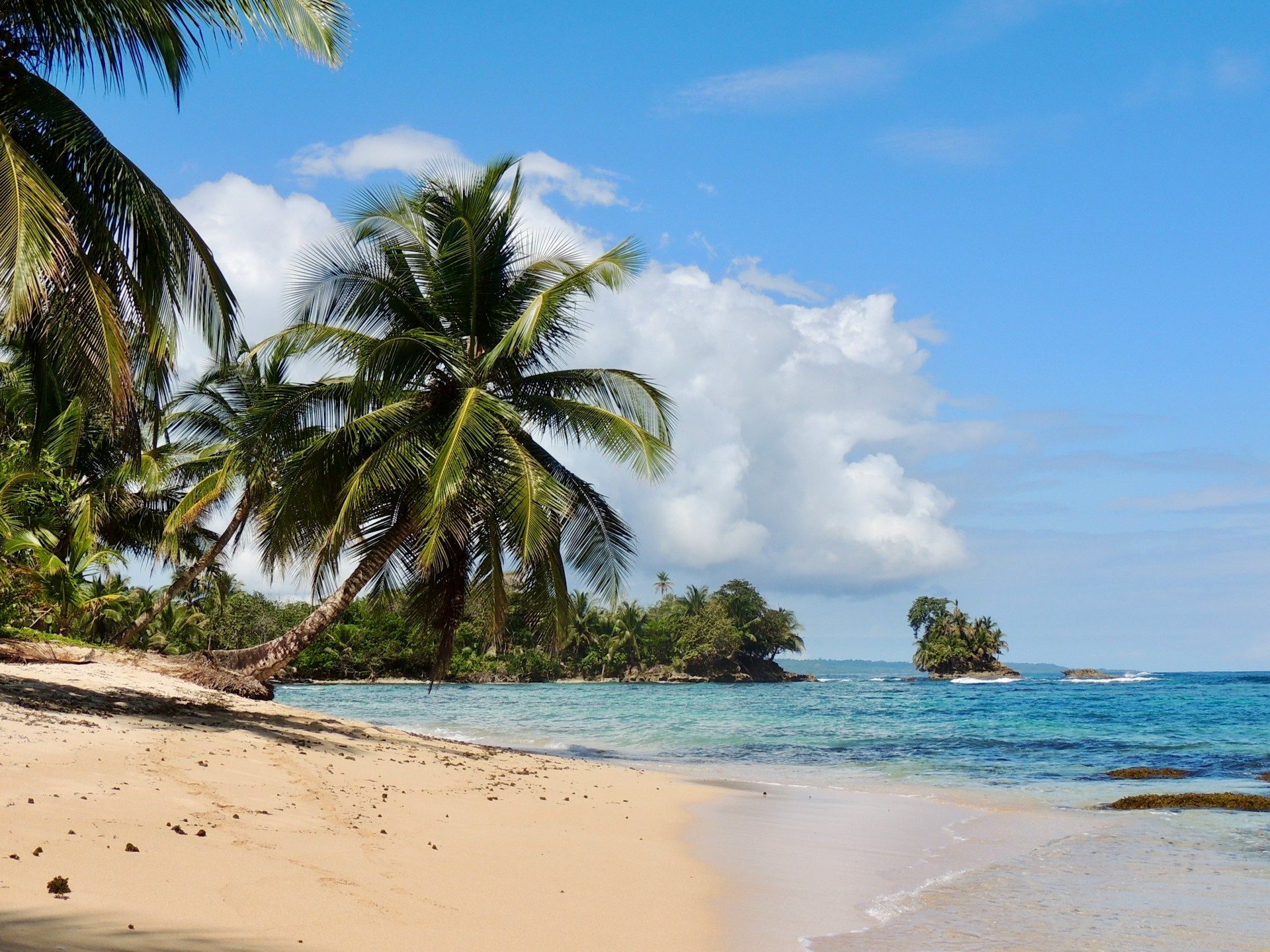 bocas del toro