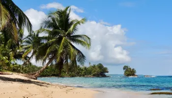 Ciudad de Panamá – Bocas del Toro vuelos regulares diarios