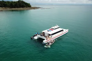 catamaran for whale watching in Panama