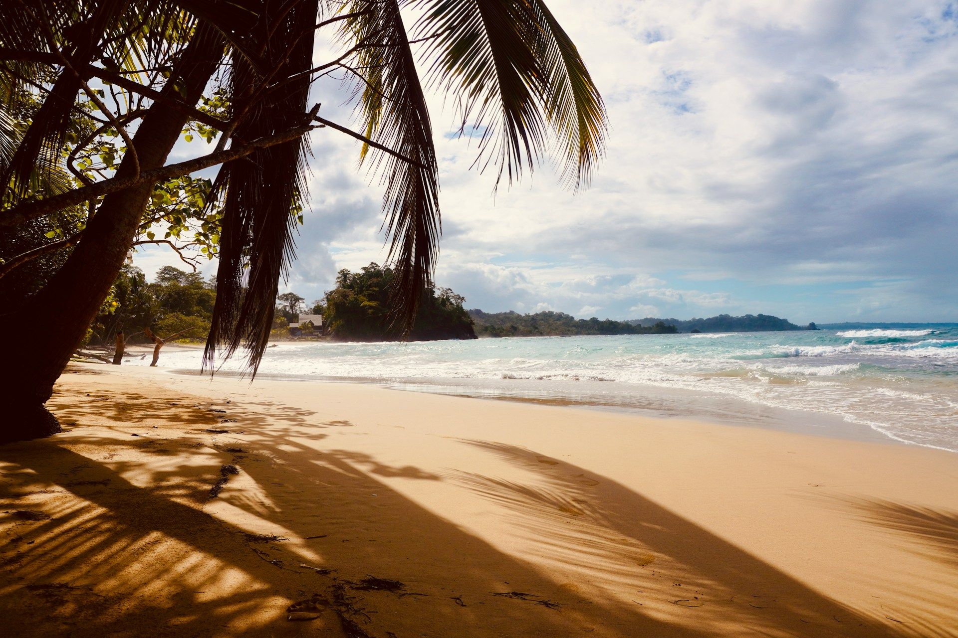 wizard beach, bocas del toro