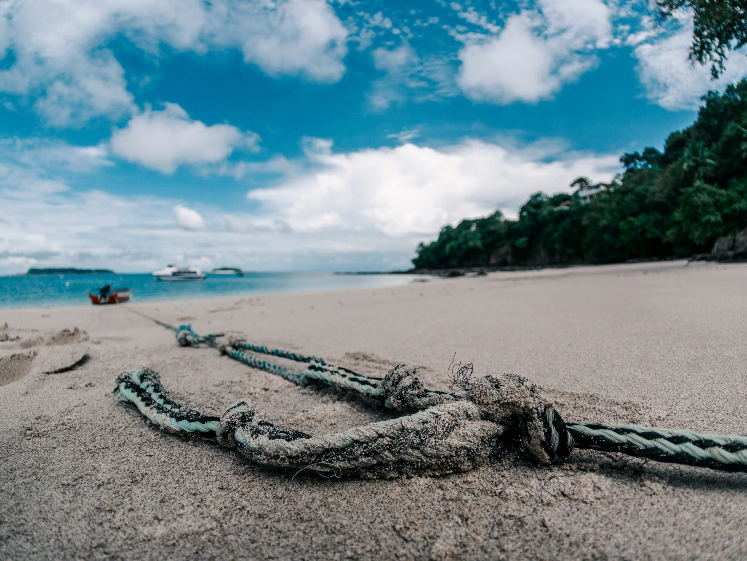best location for whale watching in panama