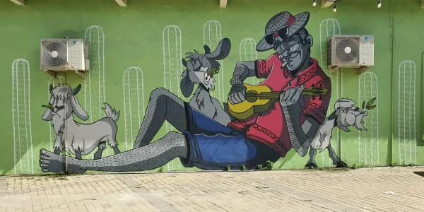 Highlights and Curiosities of Kralendijk, Bonaire