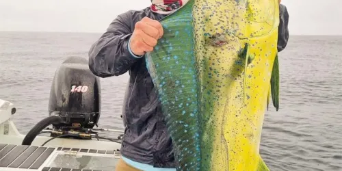 Offshore Fishing in the Gulf of Chiriqui