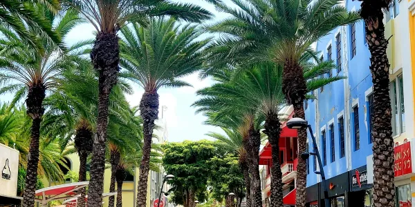 Discovering Oranjestad, Aruba: What to See, Do, Budget, and Avoid on Your Cruise Stop