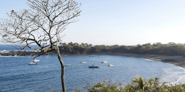 Panama City – Pedasi regular flights – Premium Ticket