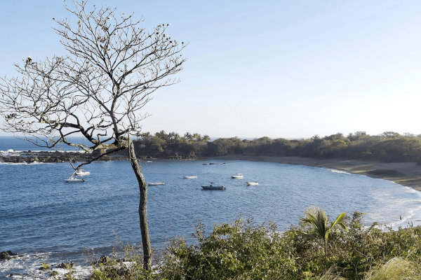 Panama City – Pedasi regular flights – Premium Ticket