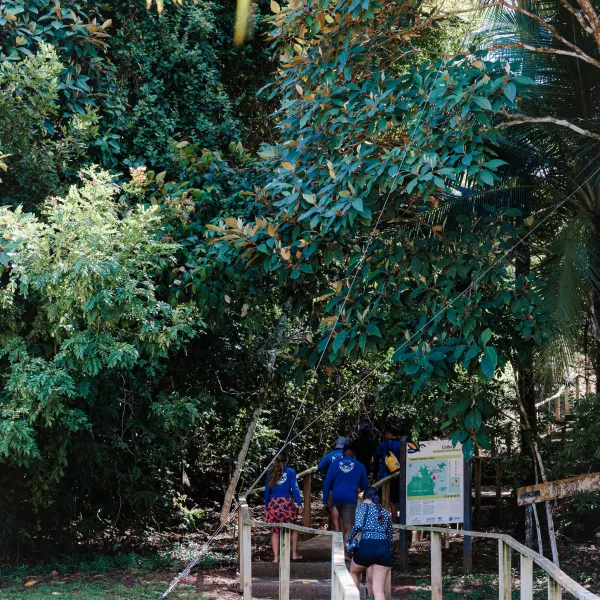 Coiba Island trail