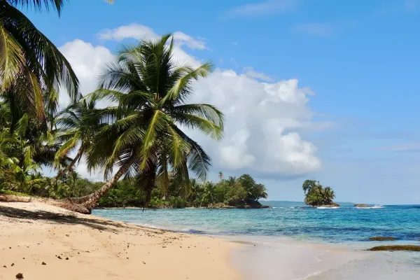 Panama City – Bocas del Toro regular daily flights – Premium ticket