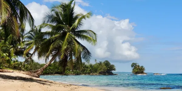 Panama City – Bocas del Toro regular daily flights – Premium ticket