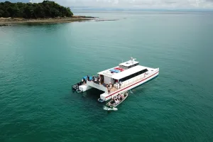 catamaran for whale watching in Panama