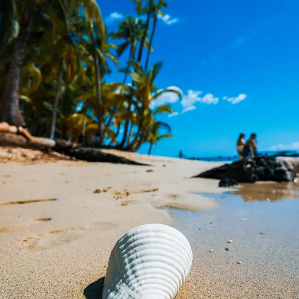 Coiba Island