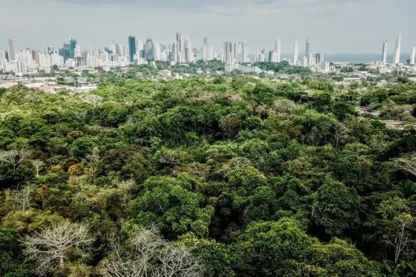 metropolitan park