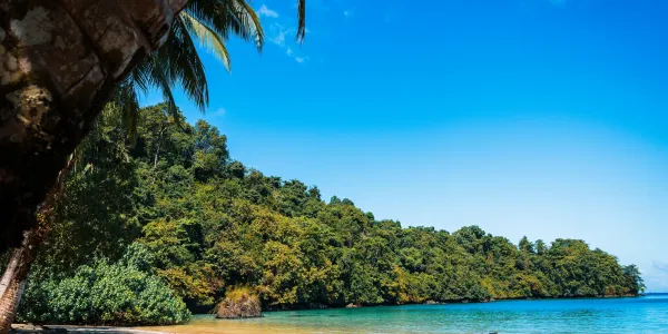 Coiba Island Day Tour from Lago Bay
